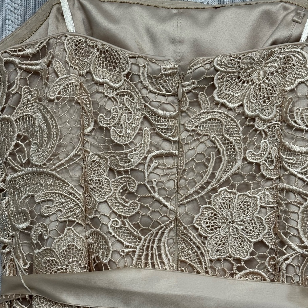 Adrianna Papell Strapless Embroidered Lace Cocktail Dress Gold Beige Size‎ 6 EUC - Picture 9 of 15